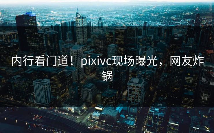 内行看门道！pixivc现场曝光，网友炸锅