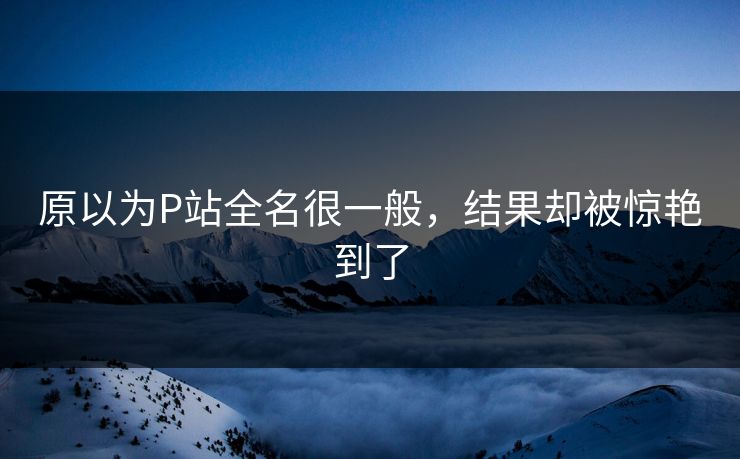 原以为P站全名很一般，结果却被惊艳到了